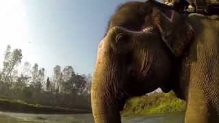 preview picture of video 'Elephants, Canoes, and Crocodiles - Nepali Safari Adventure'