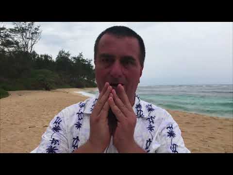 Ölvideo der Woche - Welche Öle für eine einsame Insel?