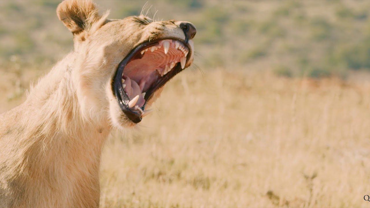 Let me tell you about this place.