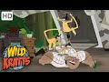 Wild Kratts Rainforest Stew Full Episode Season 2