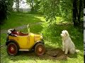 Brum And The Mobile Phone