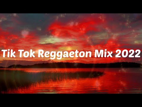 Latin Pop Mix - Tik Tok Reggaeton Mix 2022 | Wisin & Yandel, Oscu