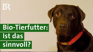 Im Trend: Bio-Tierfutter für Haustiere: Fleisch-Verschwendung oder gut