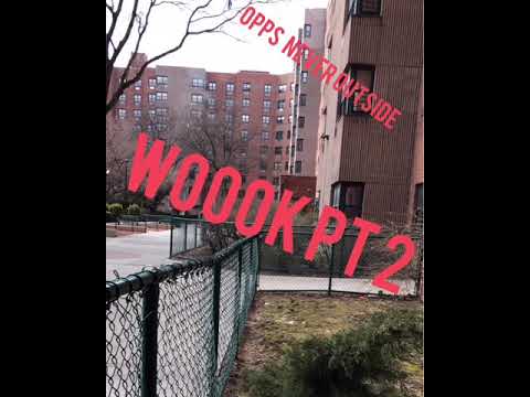 Bin Stiller X somebody-WOOK Party part 2(Pop smoke diss track)