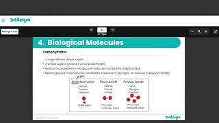 Biological Molecules.