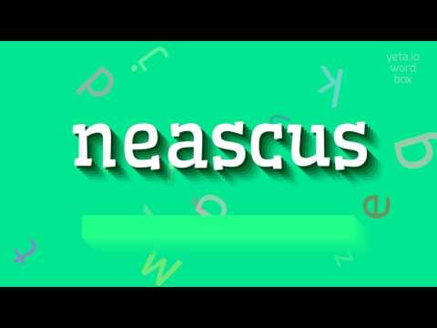 How to say "neascus"! (High Quality Voices)