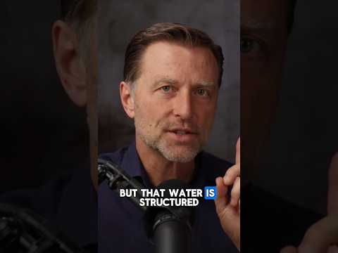 3 Foods That Clean Your Kidneys Naturally 3 Foods That Clean Your Kidneys Naturally