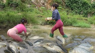 Full Video: Fishing Techniques on River and Lake, Drain Water From The Pond, Catch a Lots of Fish