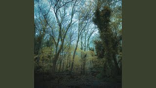 Music video thumbnail preview for Twin by worriedaboutsatan
