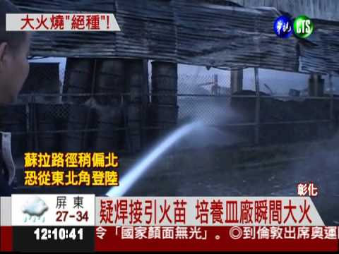 火燒培養皿廠 400坪心血成灰