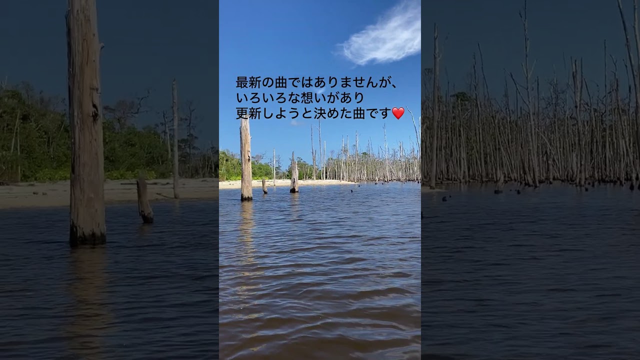 🔺最新動画🔺