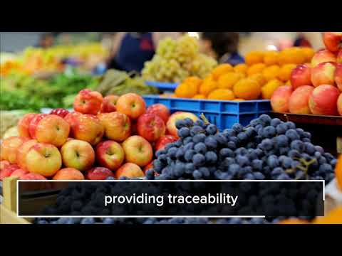 Rubens Technologies video thumbnail