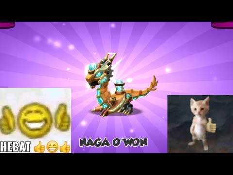 Hatching O'won Dragon - Dragon Mania Legends #4