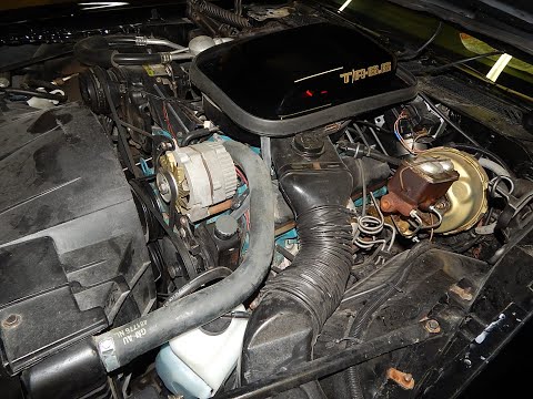 1979 Pontiac Firebird Trans Am (CC-1661056) for sale in Wichita Falls, Texas