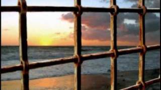 Noir Désir Sweet Mary