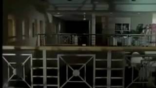 Omnibus | Prince of Paisley Park (2/2)