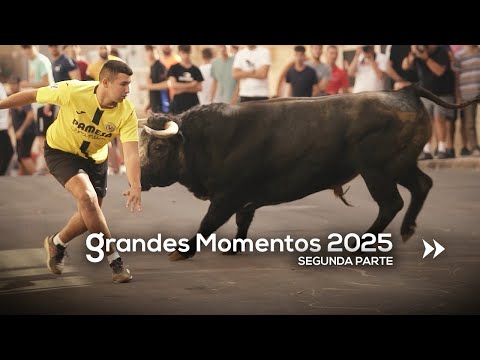 🤩 GREAT MOMENTS of 2025 · Part Two