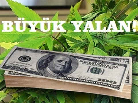 Arastirma Ve Makaleler 1 Kenevir Neden Yasaklandi Wattpad