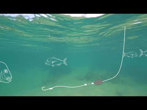 Running Sinker Rig