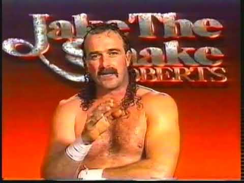 Jake Roberts Promo on Macho Man Randy Savage (01-25-1992)