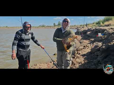 Saldra algo??? Roque Perez 03/01/2026