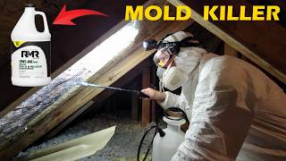 DIY Attic Mold Removal:  Step-By-Step Instructions