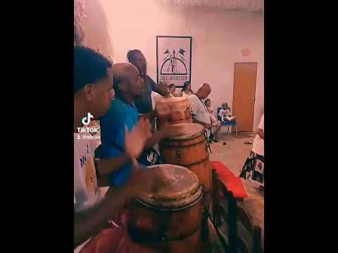 Angola no asé bambuzal