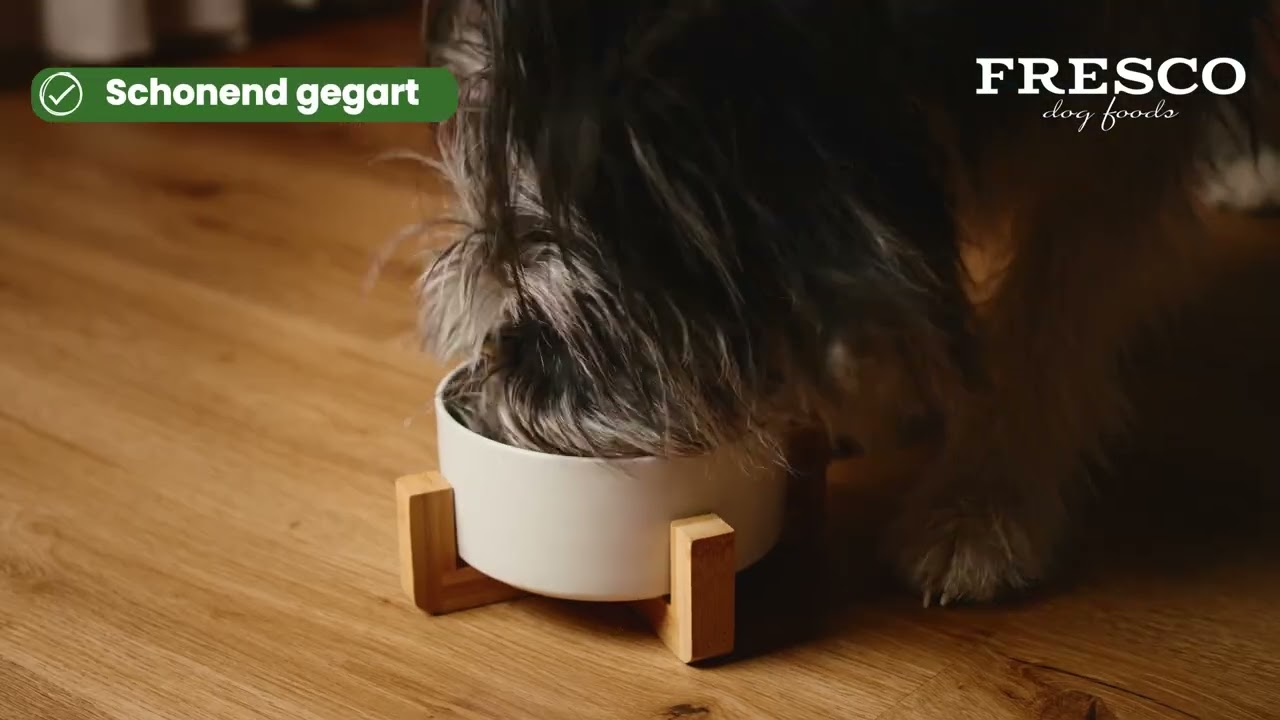 video placeholder