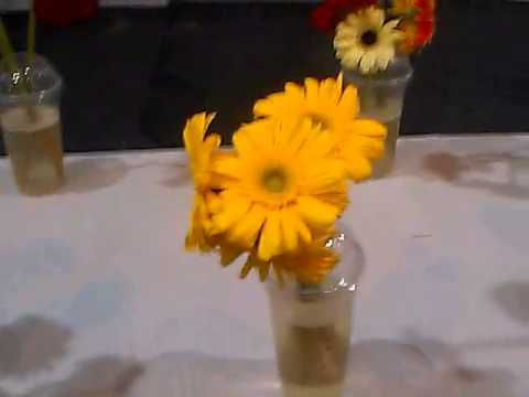 Beautiful.Real Flowers