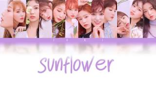 Sunflower/Hey. Bae. Like It. (해바라기) - IZ*ONE (아이즈원) [HAN/ROM/ENG COLOR CODED LYRICS]
