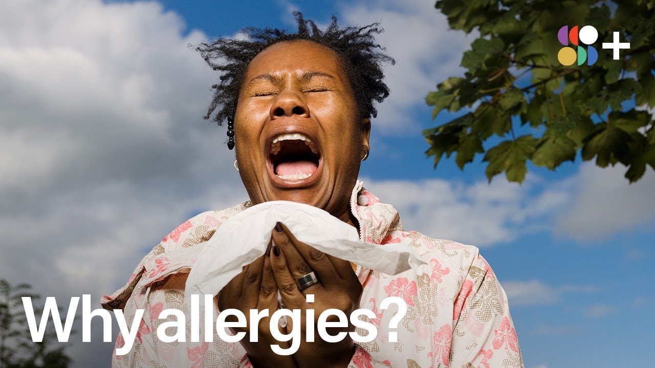 Who Gets Allergies?