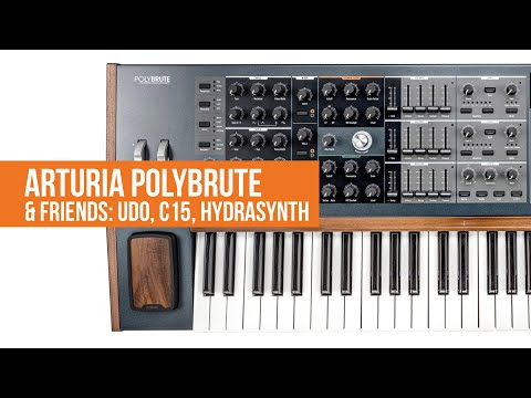 Arturia POLYBRUTE custom patch with UDO, C15 and Hydrasynth
