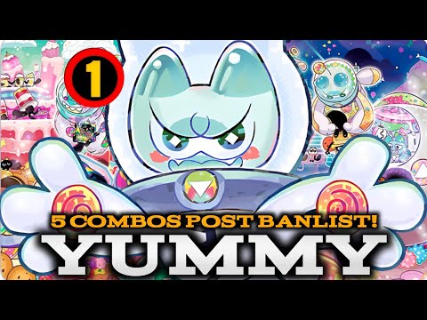 YUMMY SOLFACHORD - 5 COMBOS POST BANLIST (Banlist January 2026)