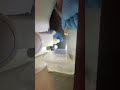 EASY RV Toilet Flush Valve Replacement #shorts #rvmaintenance #rvroadtrip  #viralshorts