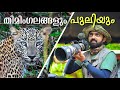 തിമിംഗലങ്ങളും പുലിയും Forest Safari In Yala And Whale Watchi