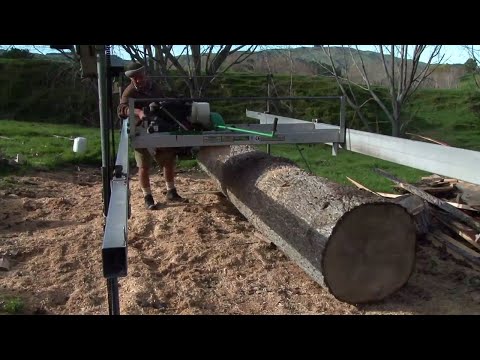 New Zealand poplar farm milling - using the mill