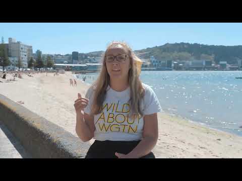 A Travel Seller's Guide to Te Whanganui a Tara Wellington, New Zealand