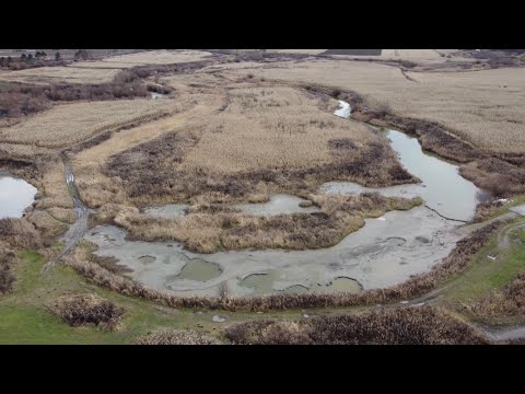 #8 Baile de namol de la Saratel | DJI Mini 2 | 4k