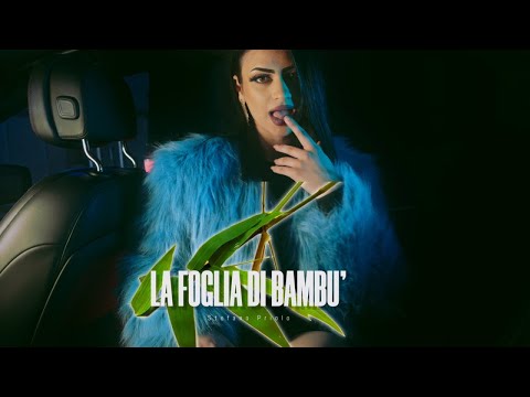 Stefano Priolo - La foglia di bambu' (Video Ufficiale 2023)