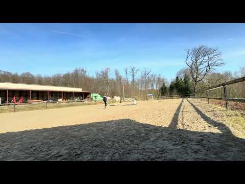 Challenge equifeel partage février 2025 club1