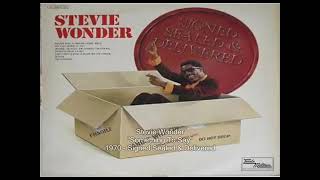 Stevie Wonder - Please Don't Go