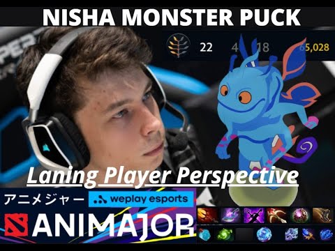 Nisha Puck - Player Perspective | Secret vs Vici Gaming