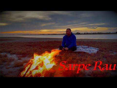 Iulian Grigoras & Mirela Husein - Sarpe rau Video