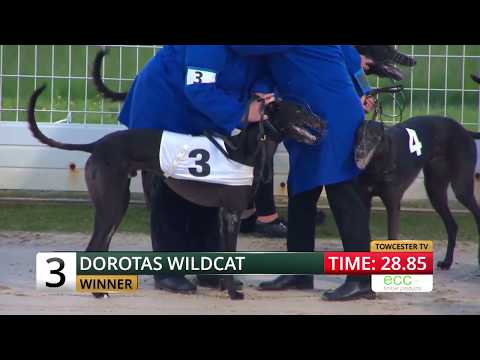 Dorotas Wildcat - Star Sports English Derby Final 2018