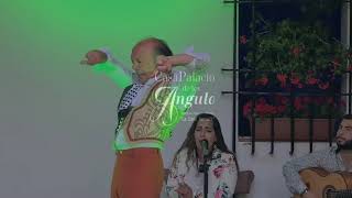 Download lagu EXPERIENCIA EXCLUSIVA PATIOS DE CÓRDOBA. Exclusive experience in the Patios of Cordoba mp3