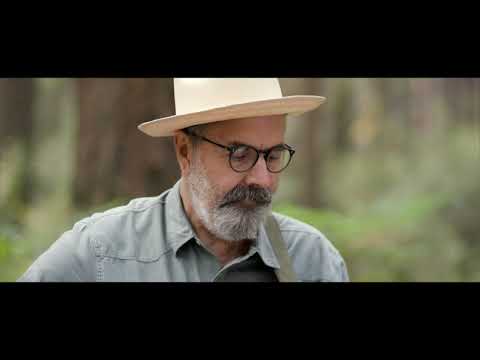 "Horses of Dorrigo" ||| John Reischman