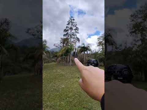 CHÁCARA DE 10.000M² / CAMPINA GRANDE DO SUL/600 MTS DA BR/R$250 MIL 41997779319