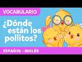 Can You Find The Chickies Dance To Chickie Hide Seek Dónde Están Los Pollitos Canticos
