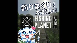 【Fishingplanet】裏プレイでロッドが折れ有り金はたいて買ったnewロッドにどのリールも適合せず全て売却でお金全損【Switch2】#2　2026.9.5