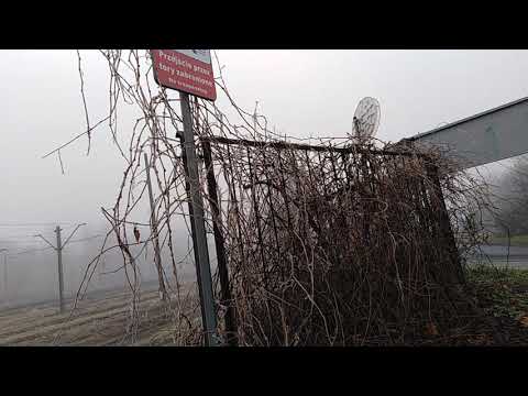 przeloty przez Sędziszów